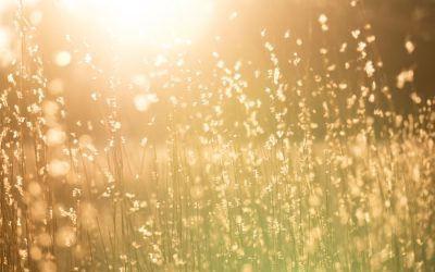 Lönehelg och sommartid