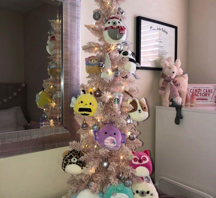 squishmallowjulgran